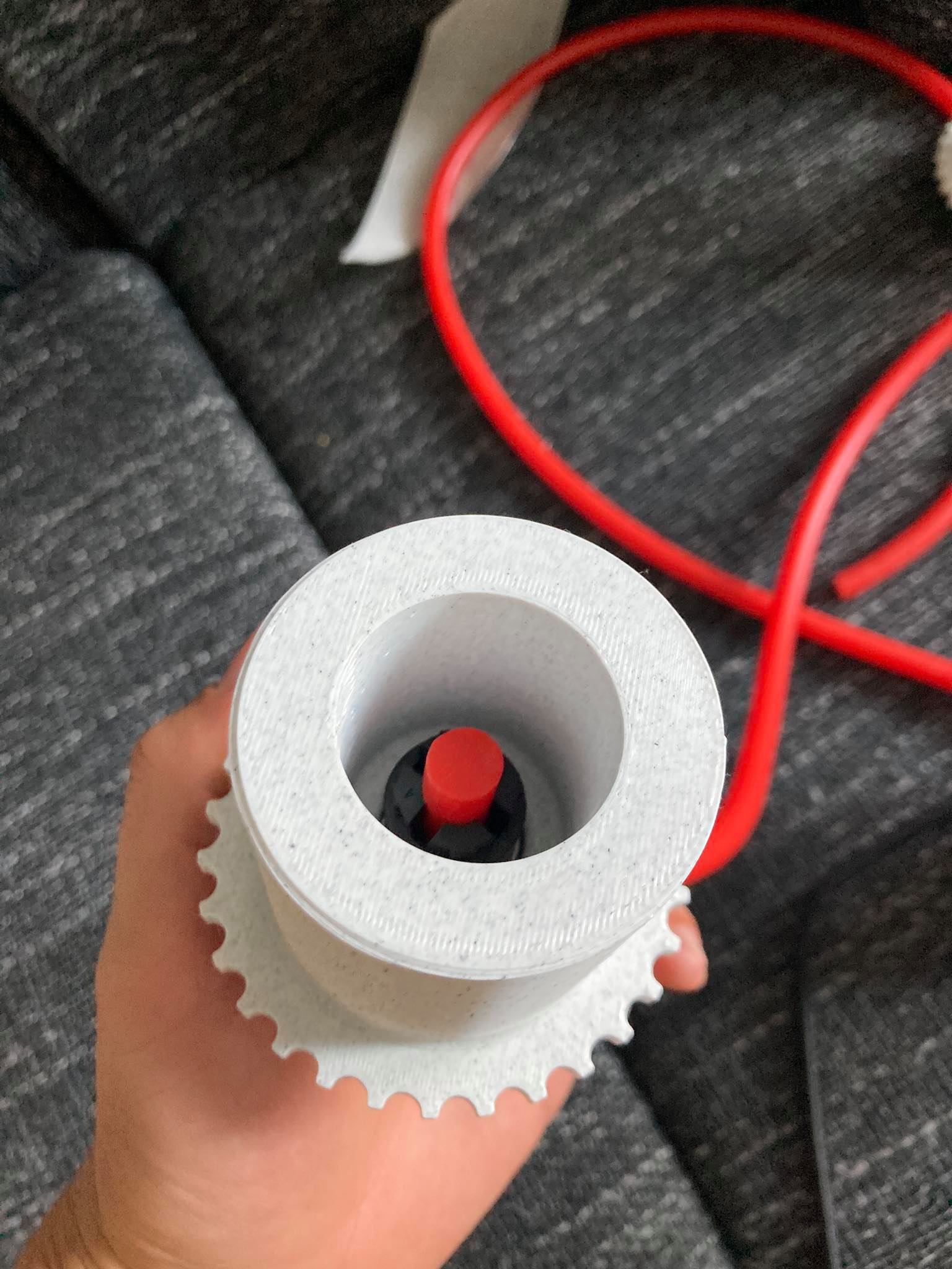 241162972_4130710383644344_2191718947483956178_n
